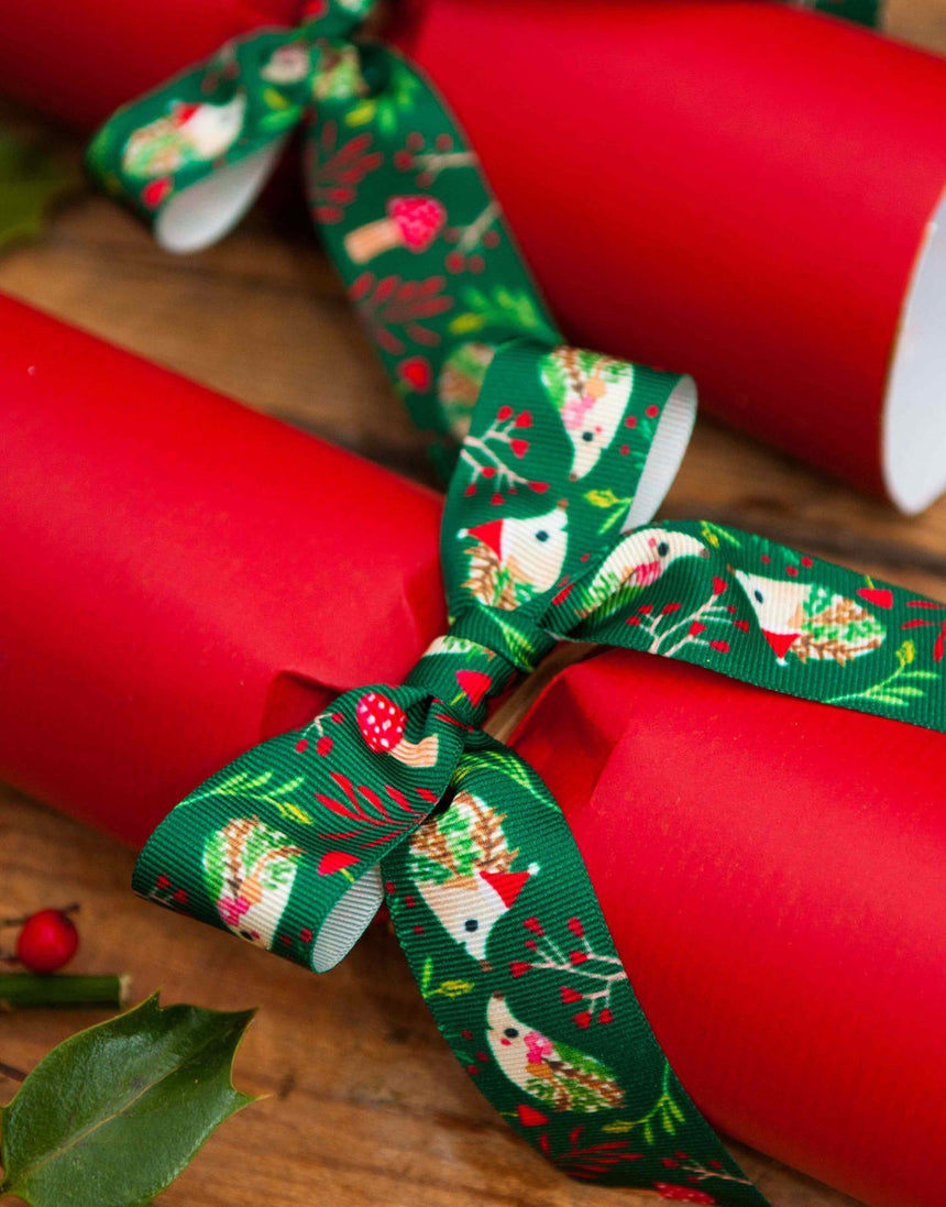 Christmas Hedgehog Ribbon 25mm