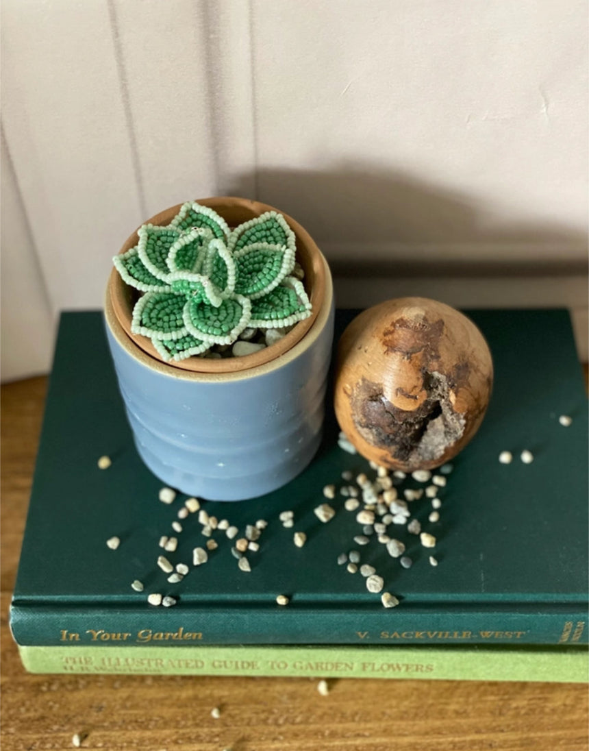 Echeveria Succulent Beaded Craft Kit, The Beaded Garden