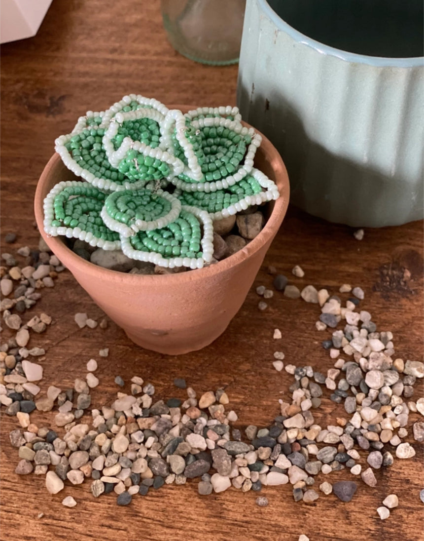 Echeveria Succulent Beaded Craft Kit, The Beaded Garden
