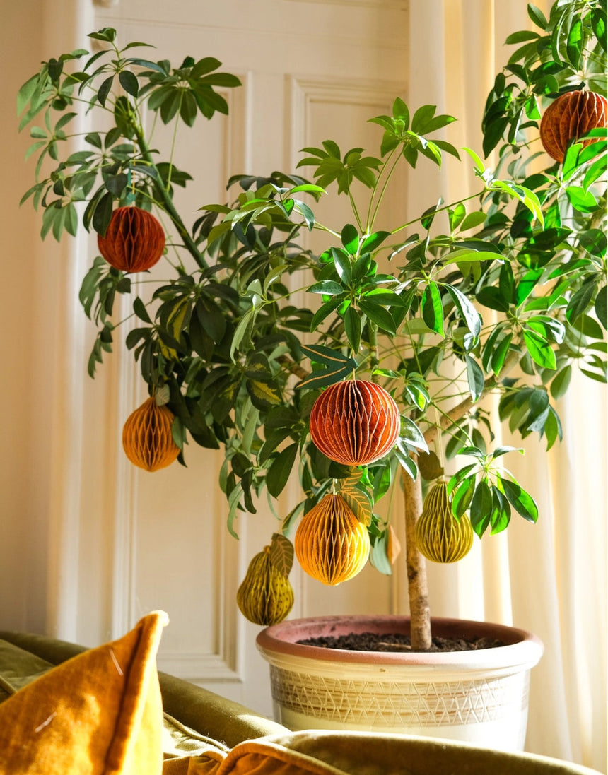 Orange Honeycomb Decoration, East End Press