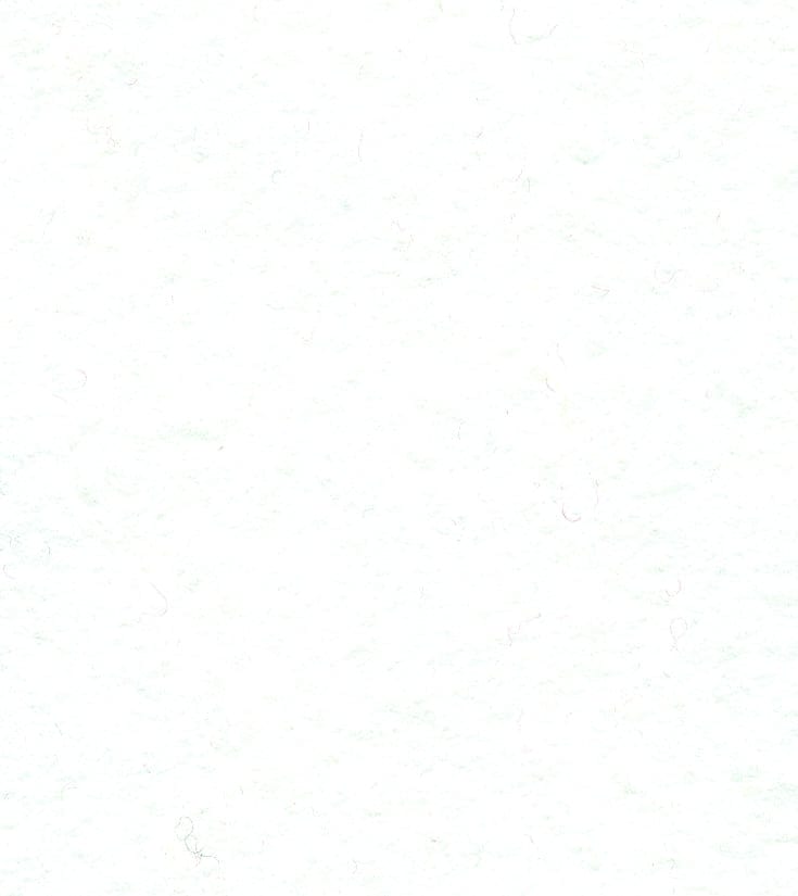 Not specified Wool Felt White Wool Felt Fabric 99581986