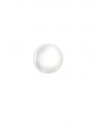 Shank Buttons, 11mm