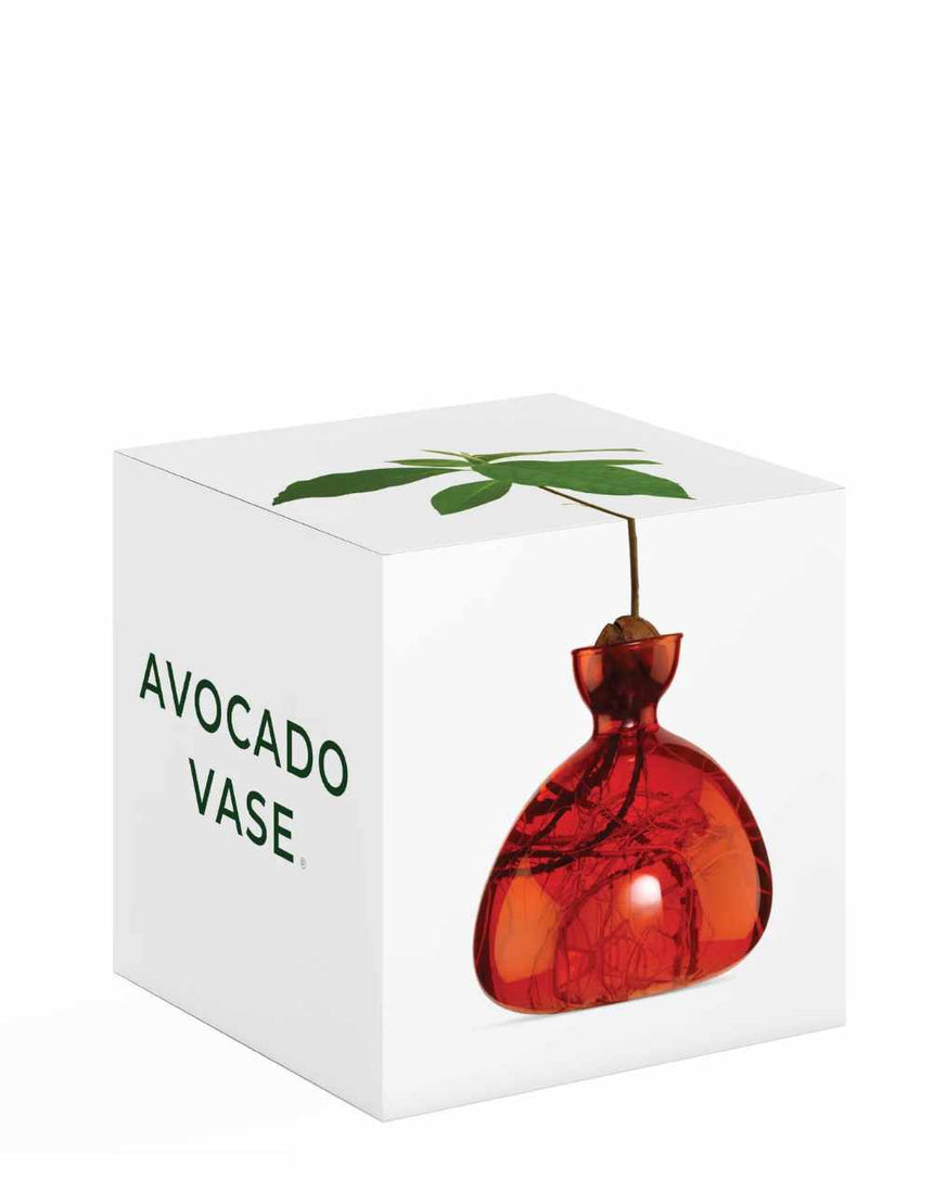 Ilex Studio Gifts Scarlet Avocado Vase, Ilex Studio 650380367974