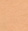 Not specified Wool Felt Beige Wool Felt Fabric 16324130