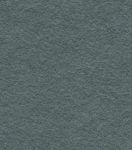 Not specified Wool Felt Dark Grey Wool Felt Fabric 25826850